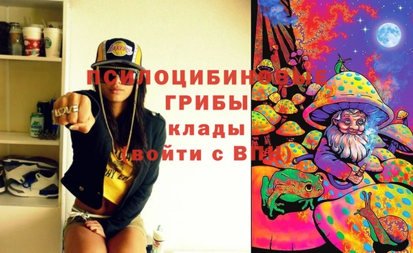 ПСИЛОЦИБИНОВЫЕ ГРИБЫ Алексин