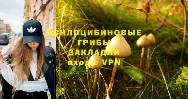 ПСИЛОЦИБИНОВЫЕ ГРИБЫ Алексин