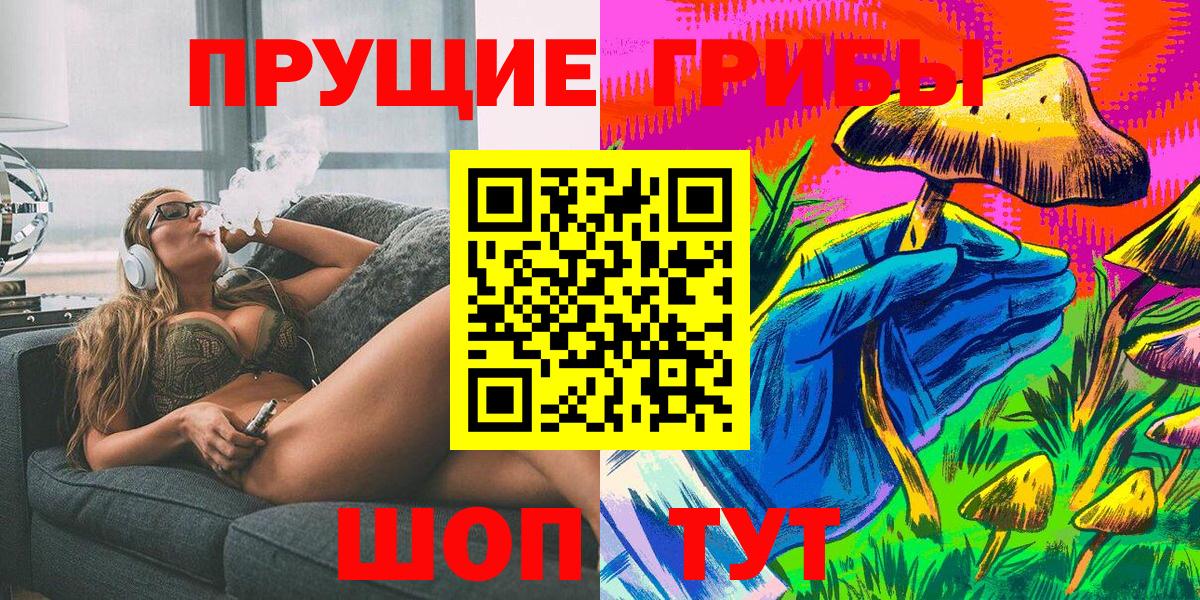 Псилоцибиновые грибы Psilocybine cubensis Десногорск