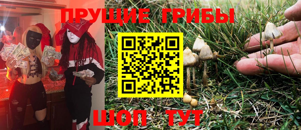 Десногорск  Галлюциногенные грибы прущие грибы  Вход с VPN 